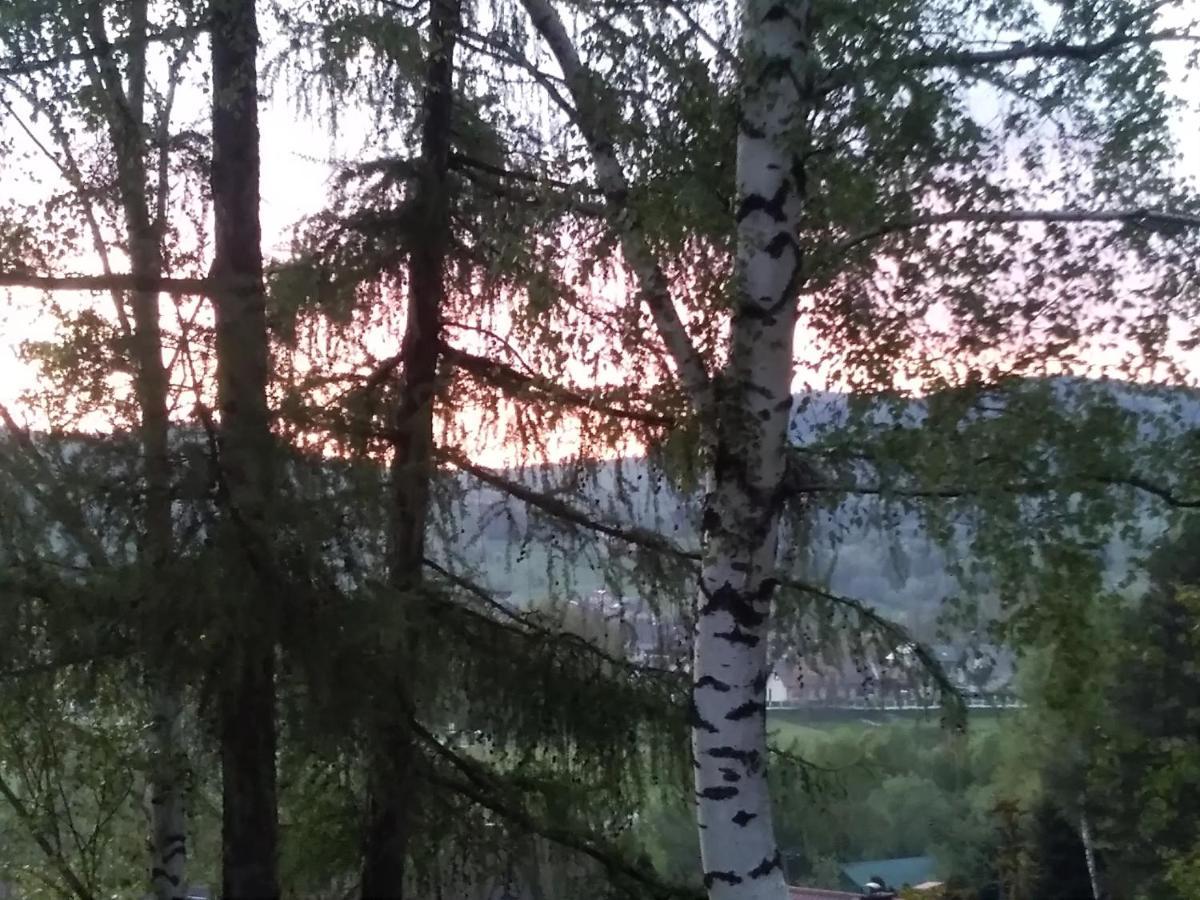 Appartamento Nowa Jutrzenka Stryszawa Esterno foto