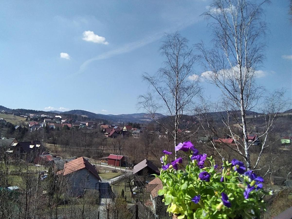 Appartamento Nowa Jutrzenka Stryszawa Esterno foto