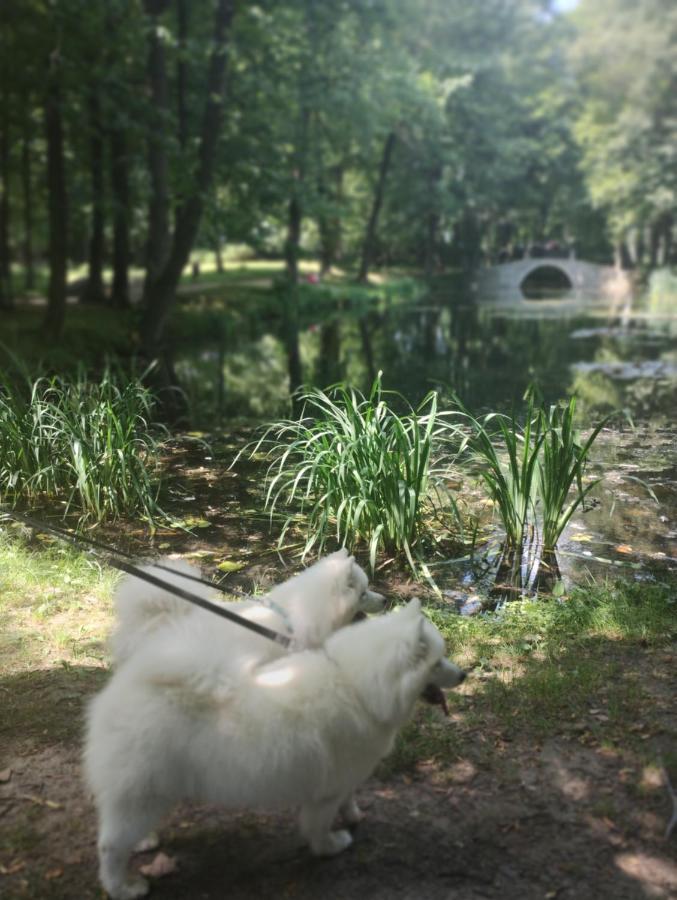 Appartamento Nowa Jutrzenka Stryszawa Esterno foto